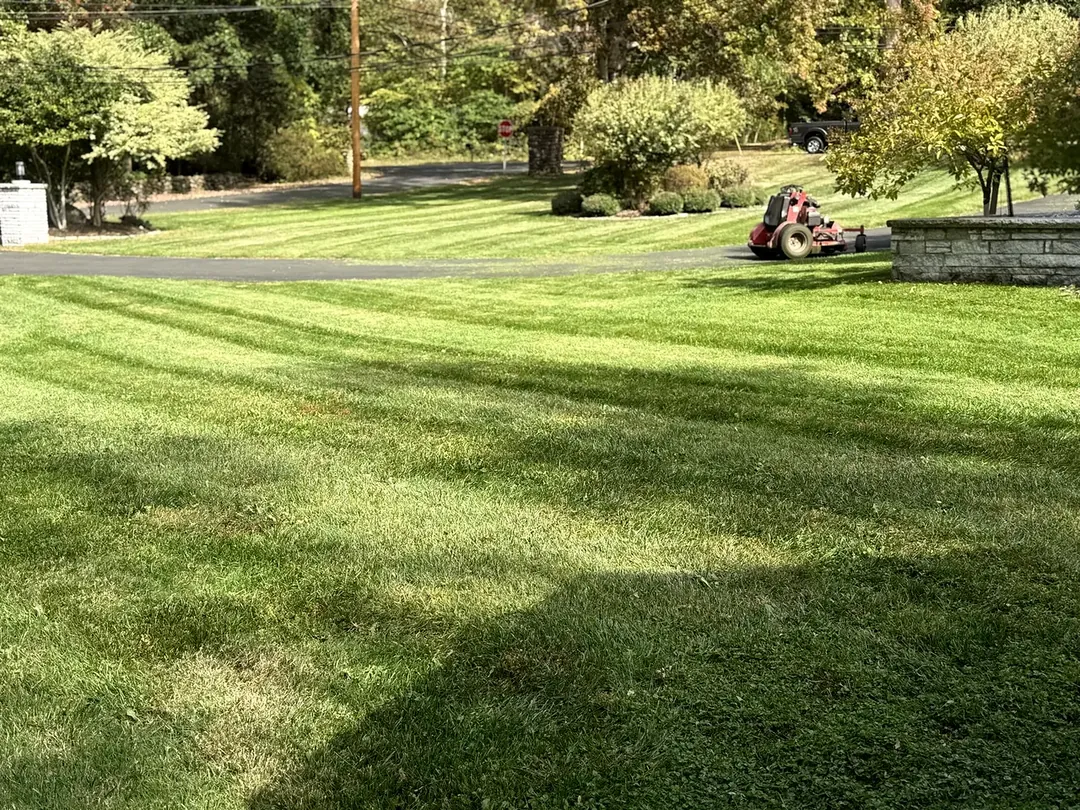 Fresh mowing stripes on a LandMaXx-maintained lawn